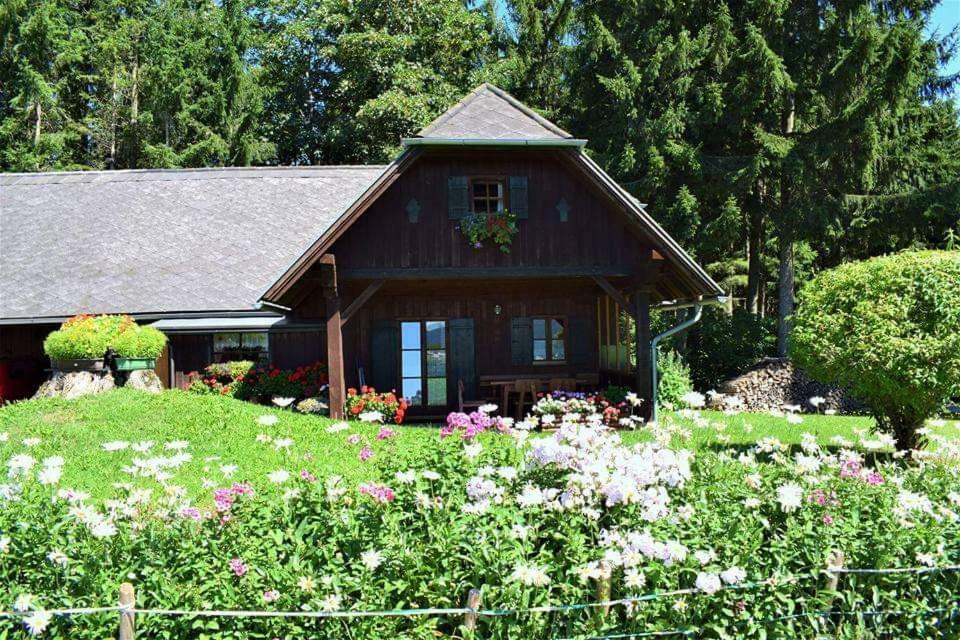 Ferienhaus Kreiner Villa Sankt Kathrein am Offenegg Dış mekan fotoğraf