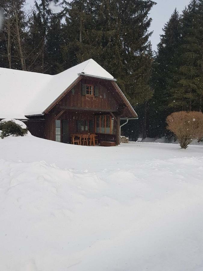 Ferienhaus Kreiner Villa Sankt Kathrein am Offenegg Dış mekan fotoğraf